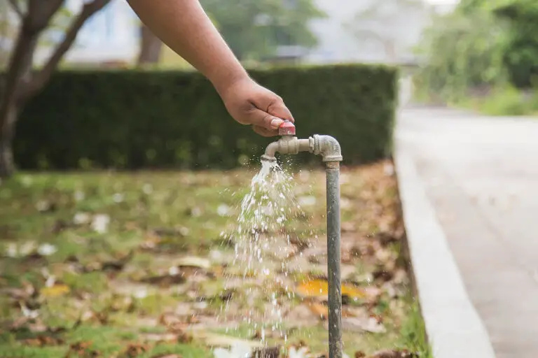 how-to-water-a-garden-without-a-hose-5-best-guide