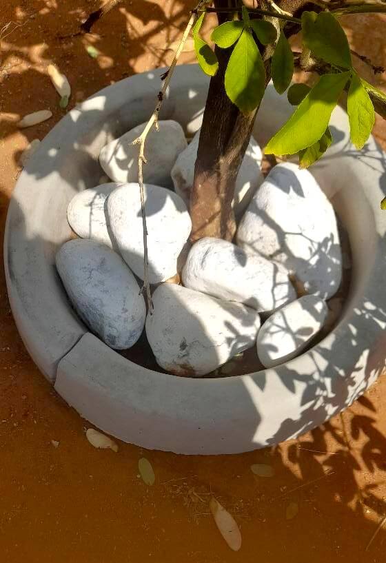 Pebbles inside pot