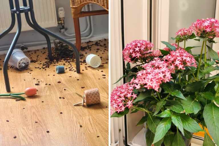 Plant Pots Falling Over