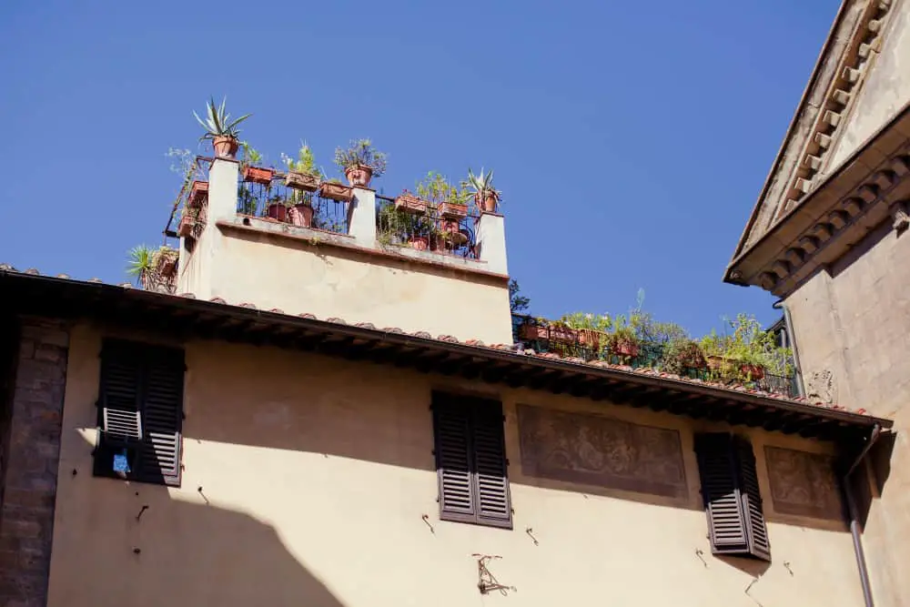 pot in the balcony 