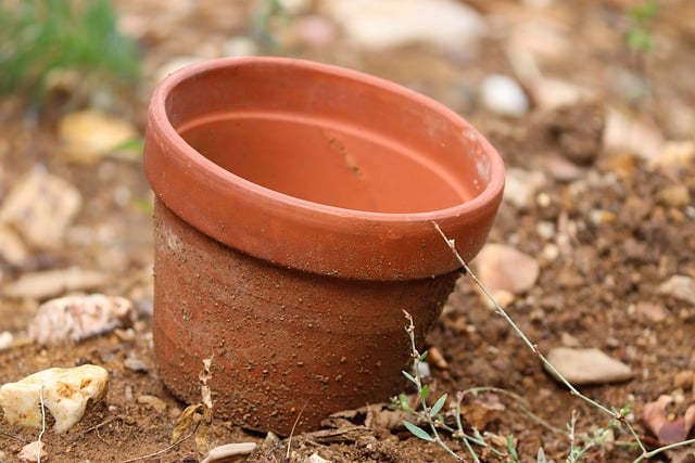 terracotta pots without plants 