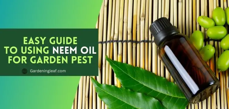 Easy Guide to Using Neem Oil for Garden Pest and Disease Control