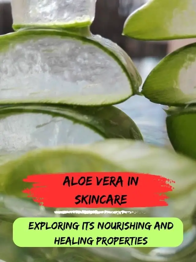 Aloe Vera in Skincare: Exploring Its Nourishing and Healing Properties