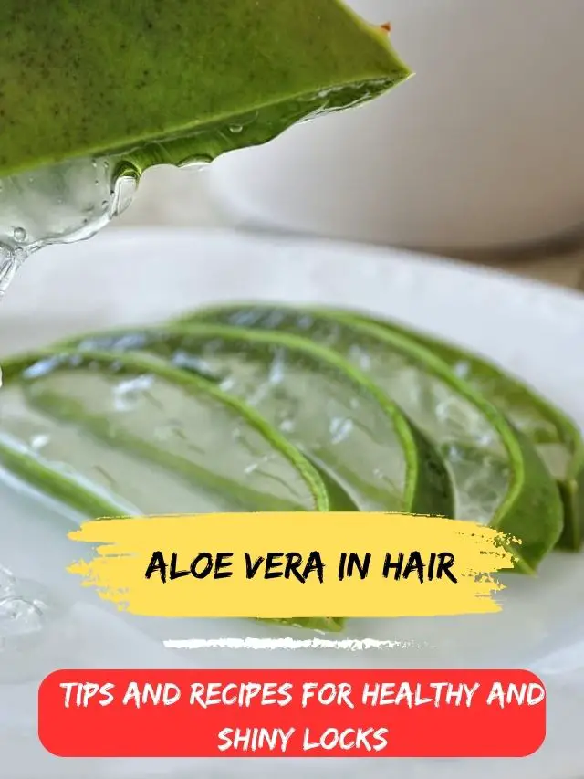 Aloe Vera for Hair: Tips and Recipes for Healthy and Shiny Locks