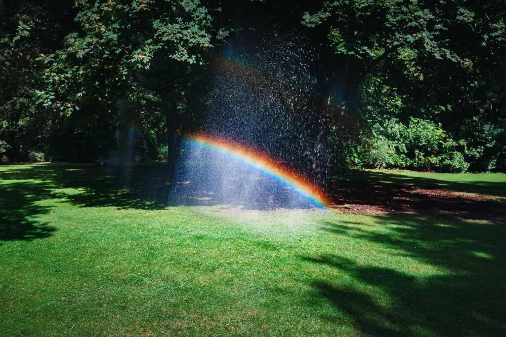 rainbow water grass