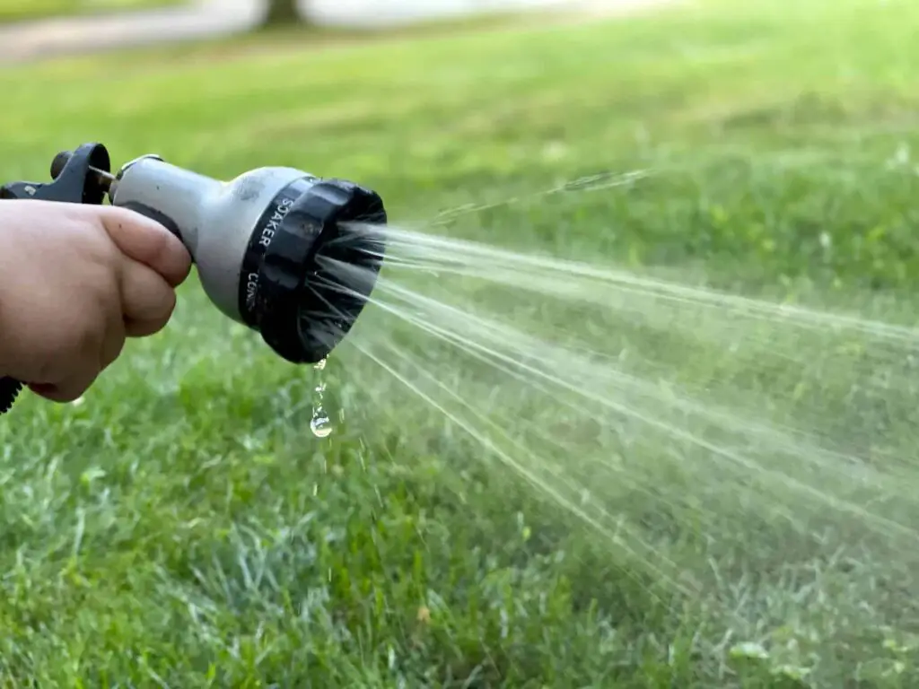 how long can grass seed go without water