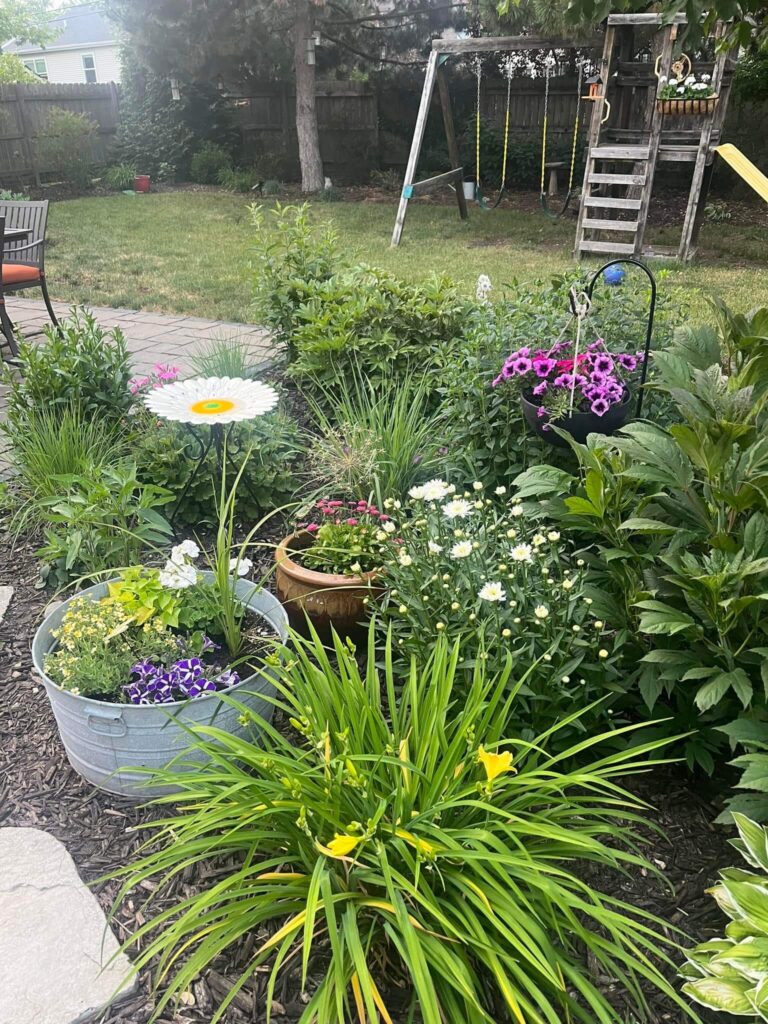 Mixed plants in the garden