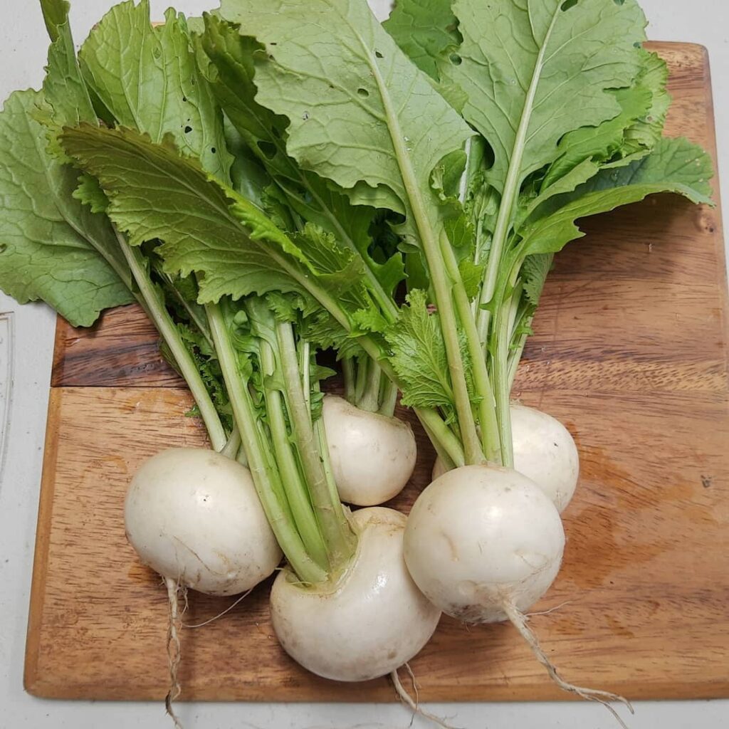 Salad Turnips