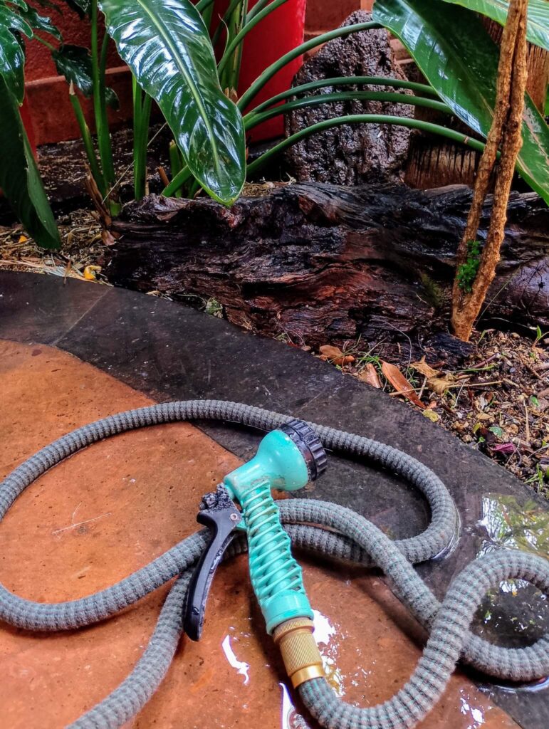 Invest in a quality watering hose, it will change your life!