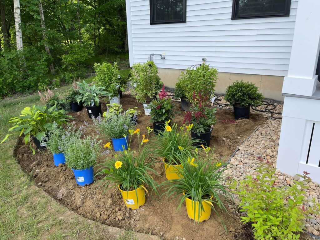 Potentially overcrowded garden