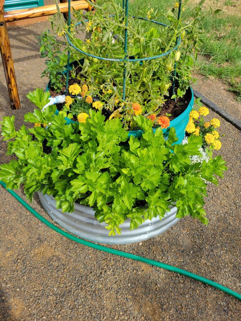 round raised beds