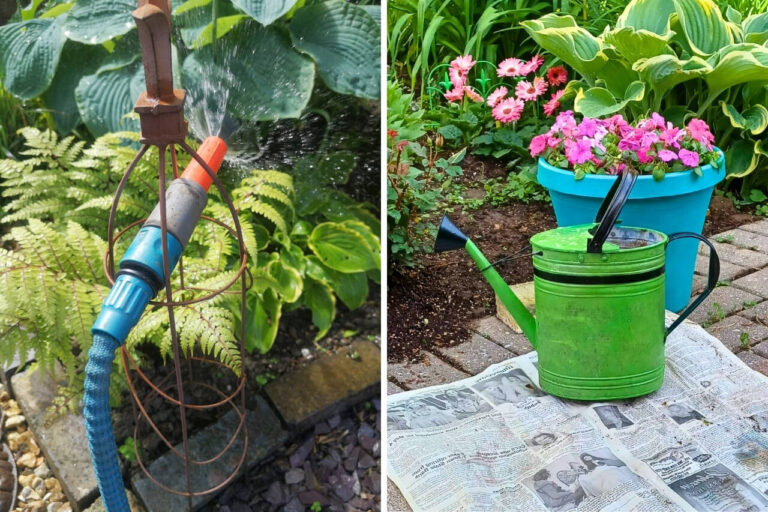 watering the garden