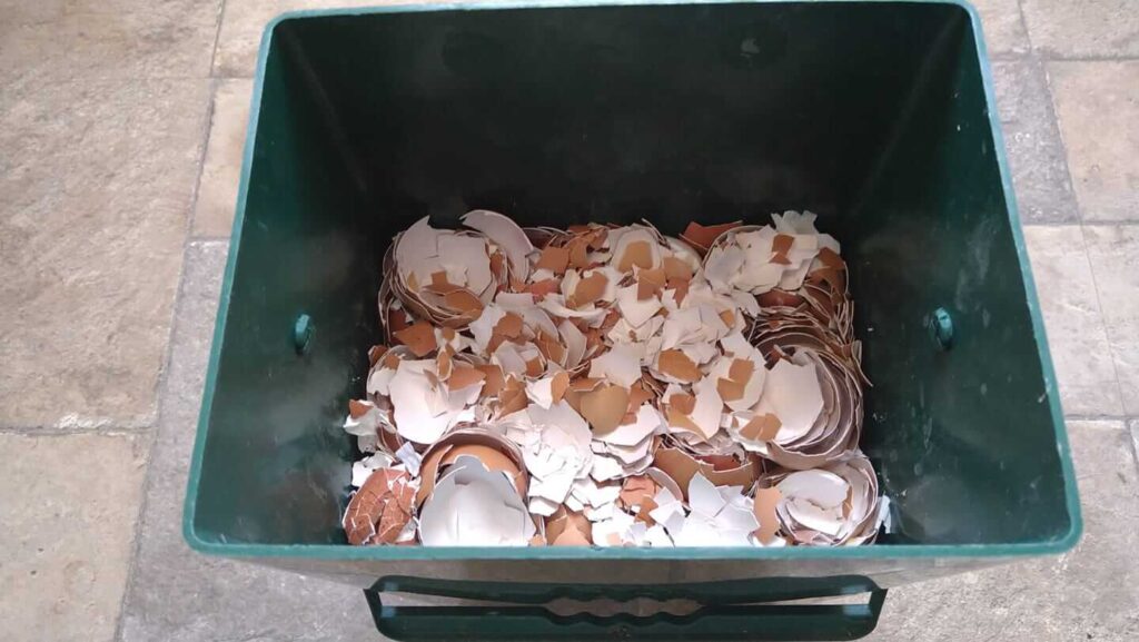 eggsheels