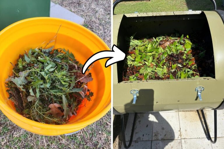 Gardening compost