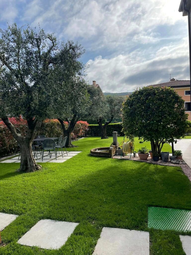 House lawn