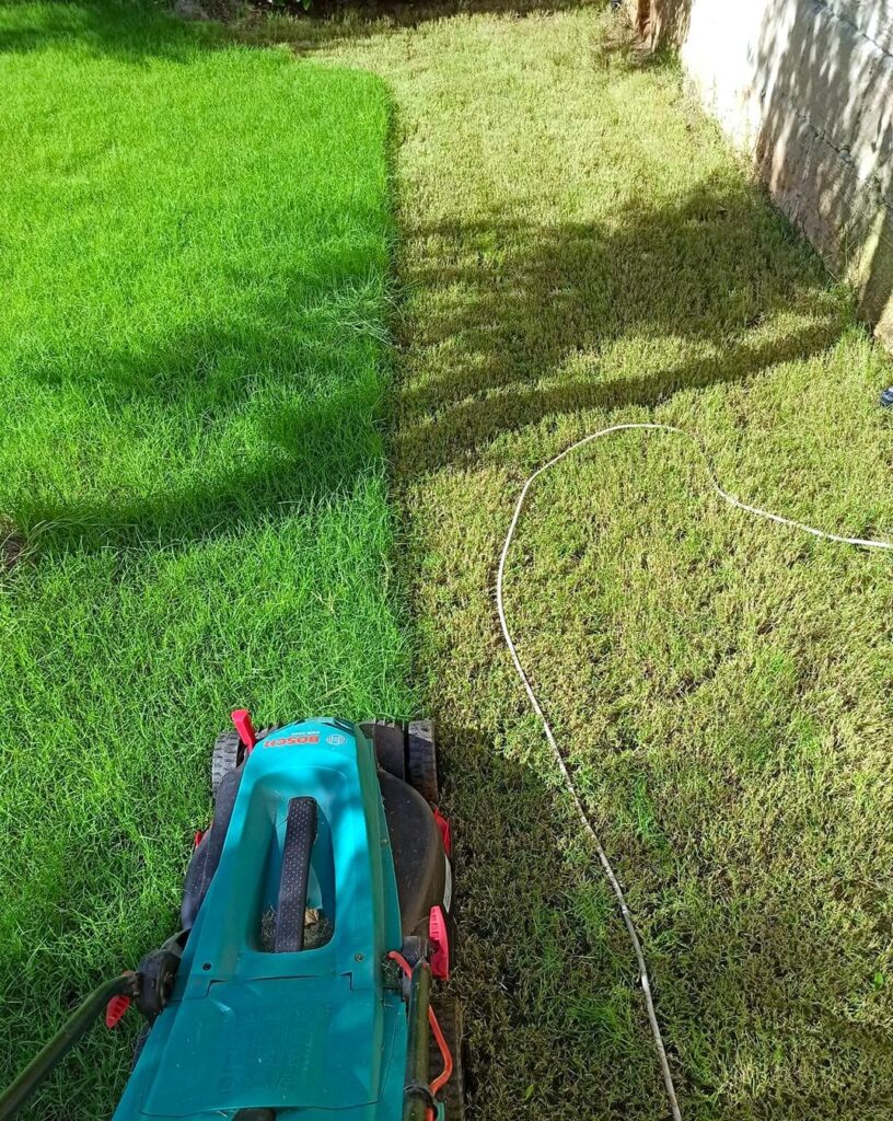 Mowing the grass