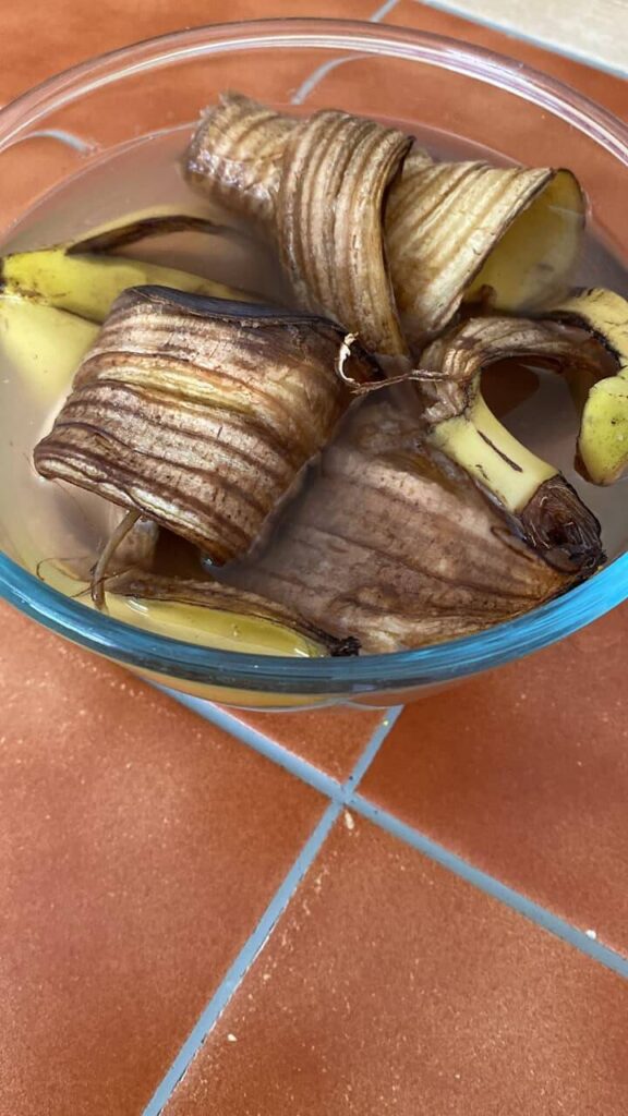 Banana peel tea for gardening