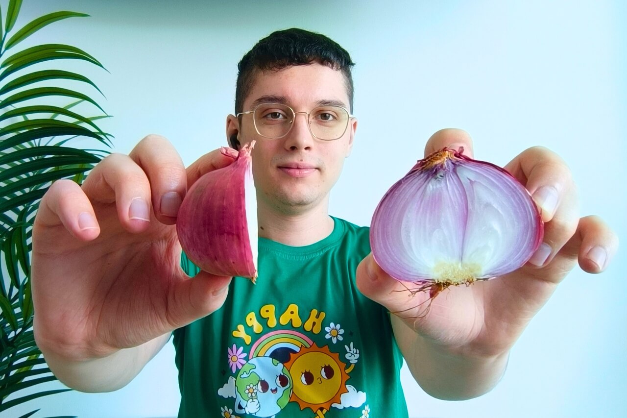 growing onions