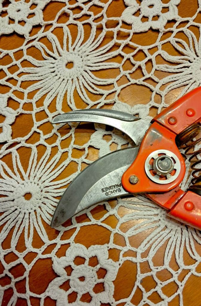 My beloved pruner