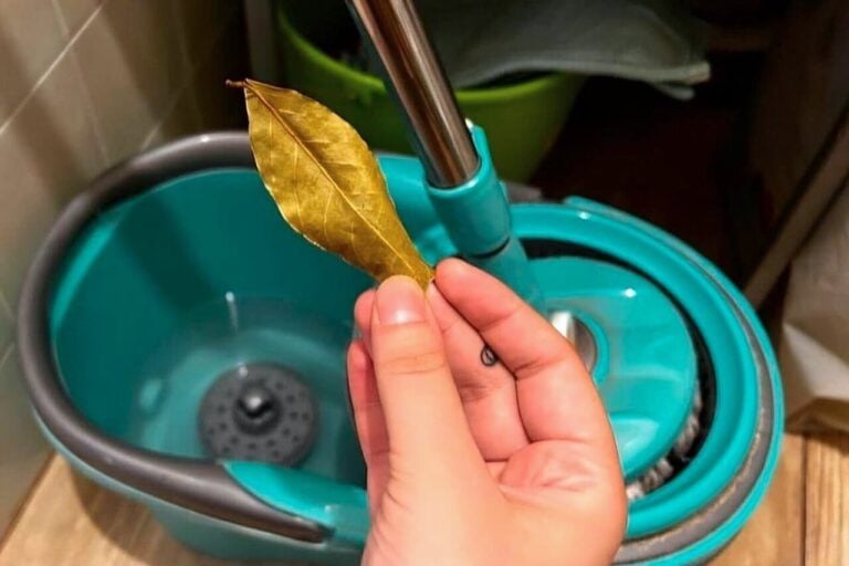 Bay leaves in mop