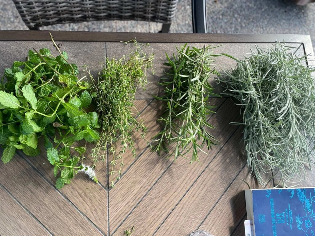 aromatic herbs