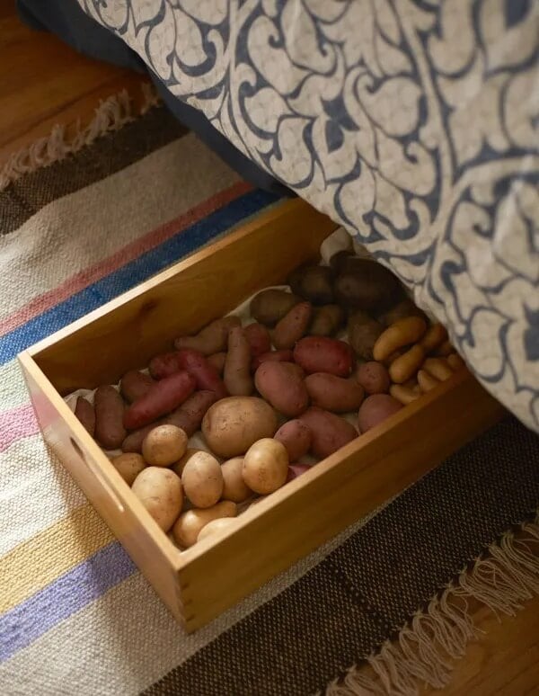 Potatoes storage under bed