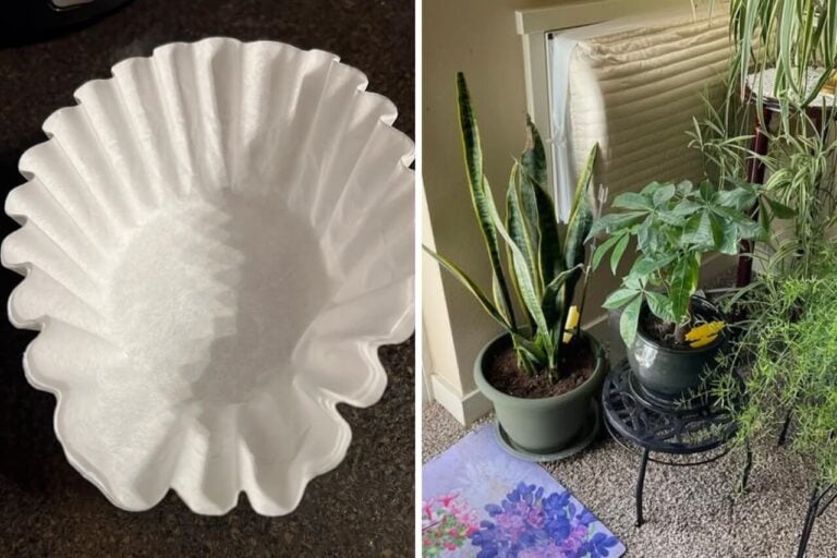 Here’s Why You Should Always Put a Coffee Filter in Your Pots