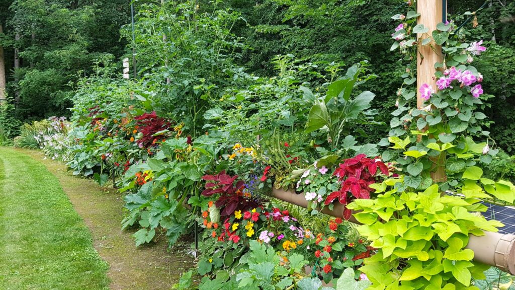 Flowers and Vegetable Mix