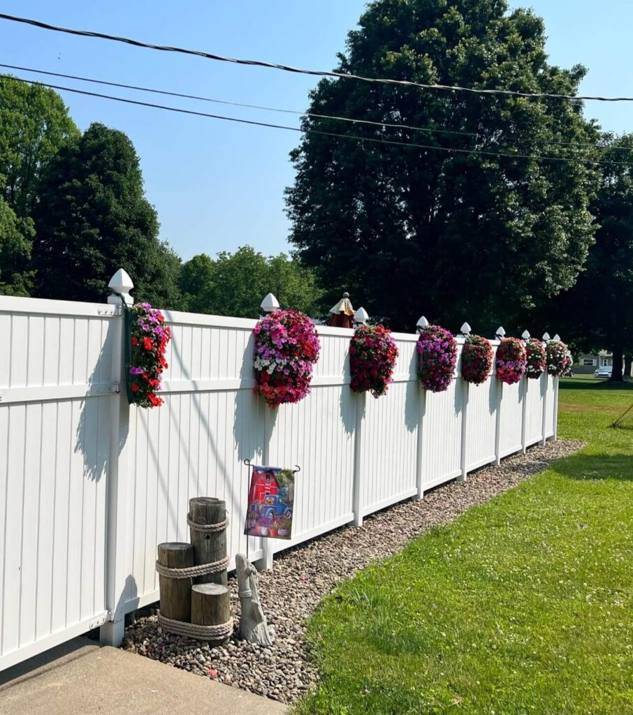 Impatiens hanging on the fence