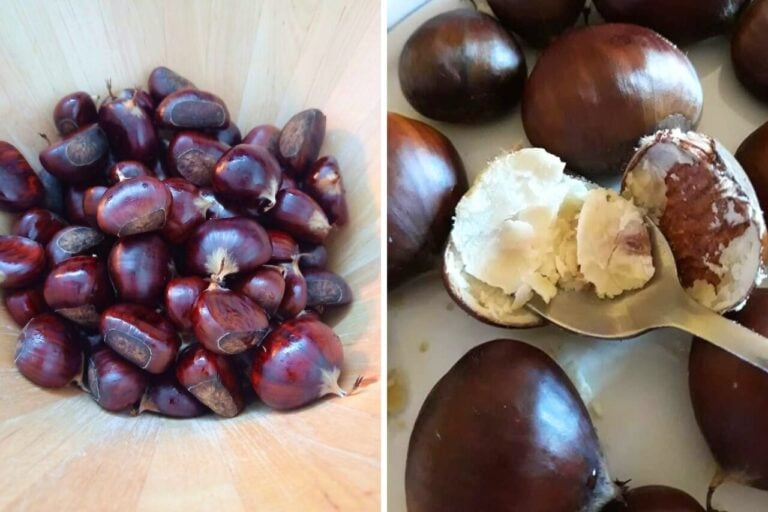 Prepare Boiled Chestnuts