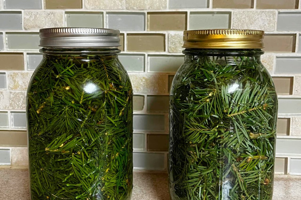 pine oil jars