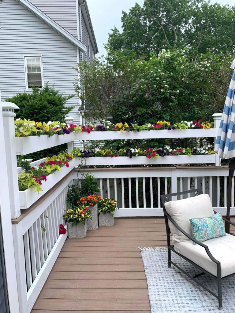 Planters on the fence