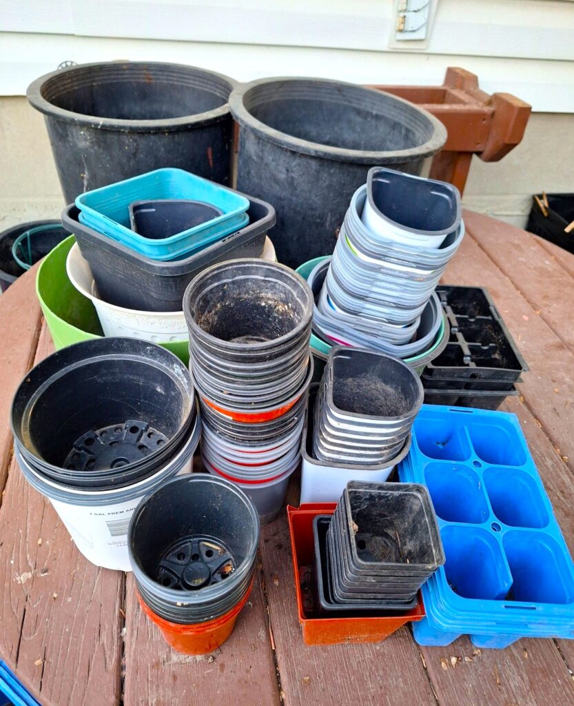 Free plant pots