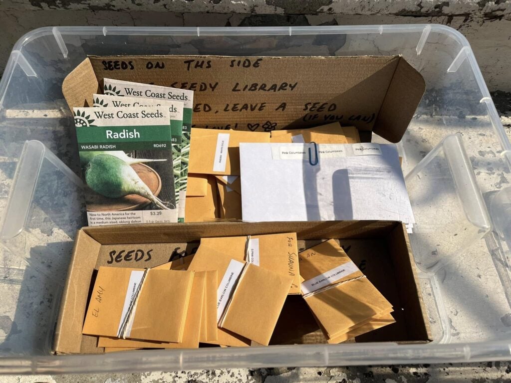 Little seedy library