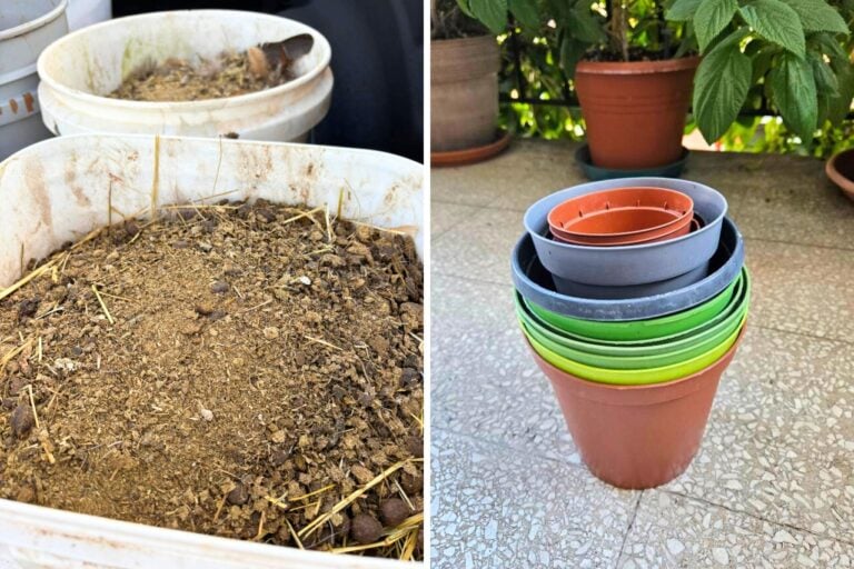 things gardeners can get for free