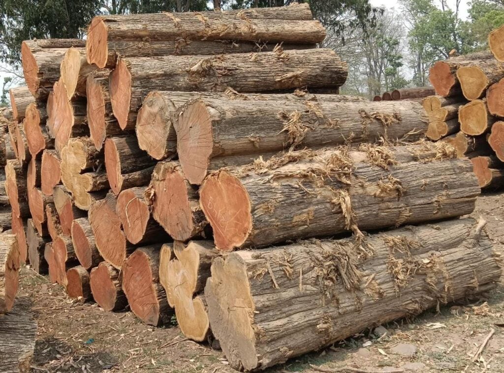 Wood logs